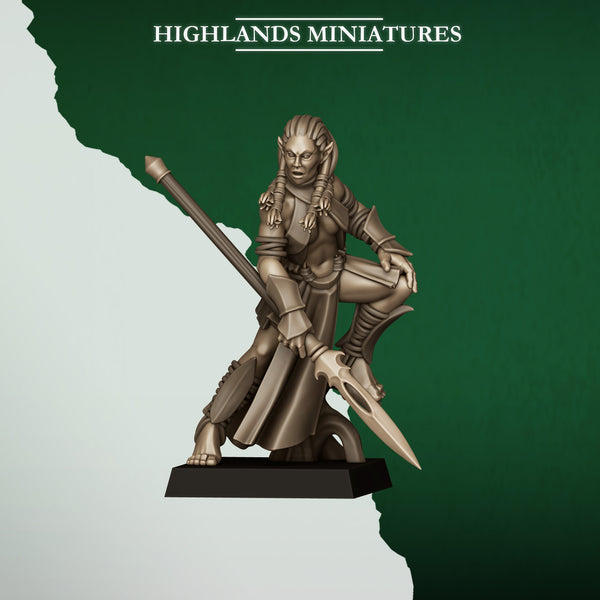 Feral Elves - Bladesingers  Unit by Highlands Miniatures