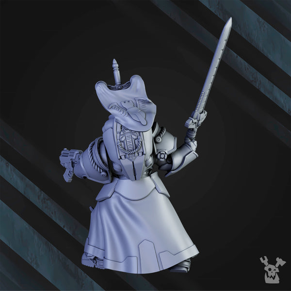 Citadel Vanguard - Knight-Commander Henry The Stronghold by Dakka Dakka