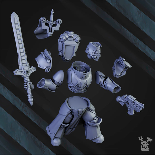 Citadel Vanguard - Knight-Commander Henry The Stronghold by Dakka Dakka