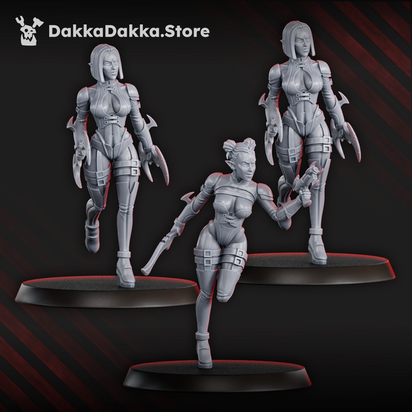 Dark Alvs - Witches of the Alves Night Raiders by Dakka Dakka