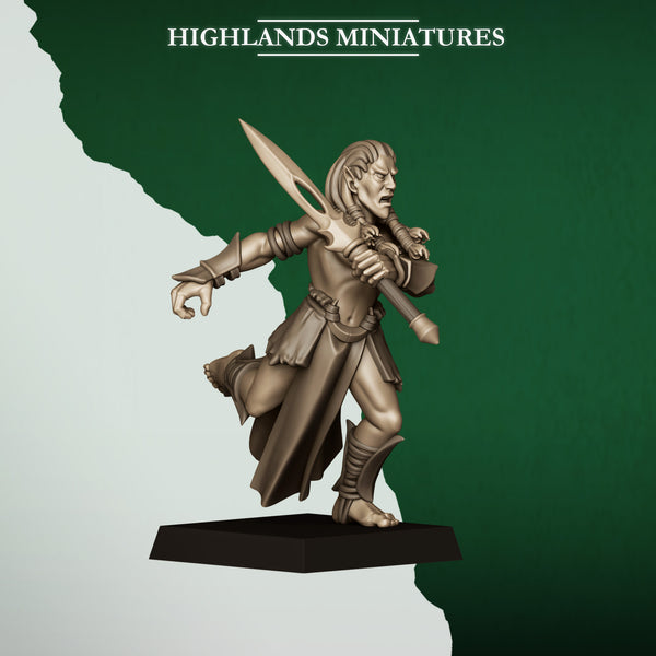 Feral Elves - Bladesingers  Unit by Highlands Miniatures
