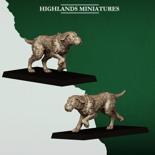 Feral Elves - Feral Animal Pack  Unit by Highlands Miniatures