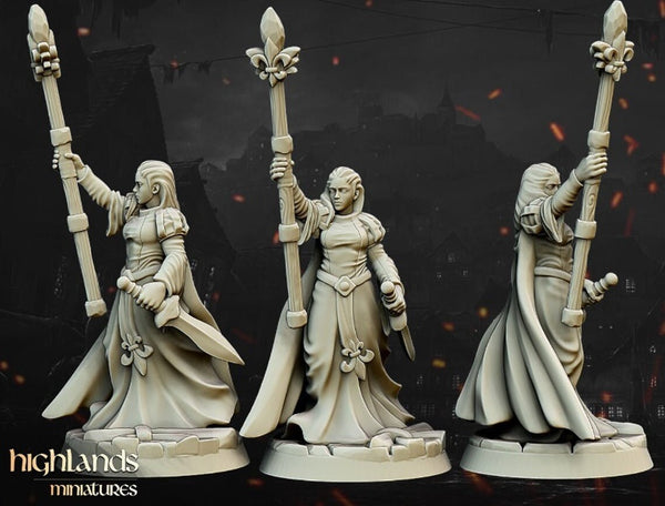 Damsel of the Lady hero by Highlands Miniatures