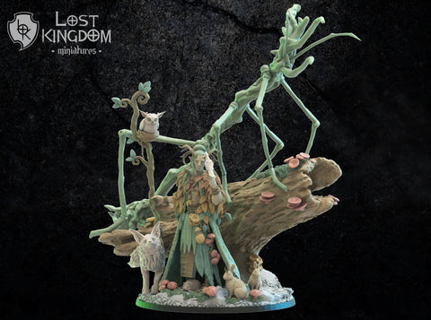 Mori Elves Masaki, Ancient Druid  By Lost Kingdoms