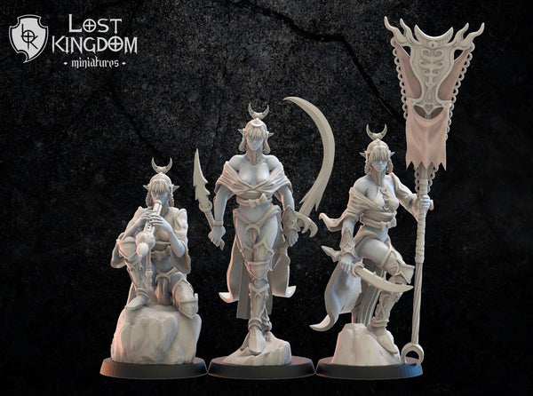 Night Elf Onna Bugeisha Regiment  By Lost Kingdoms