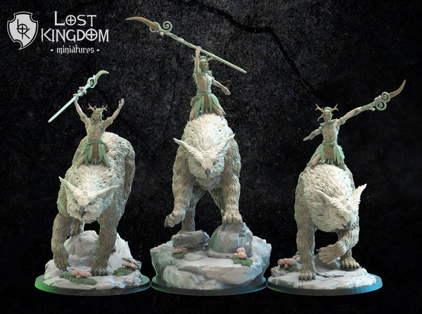 Mori Elves Kumakuro/Hundun Riders By Lost Kingdoms
