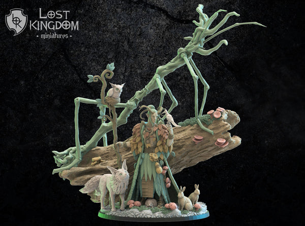 Mori Elves Masaki, Ancient Druid  By Lost Kingdoms