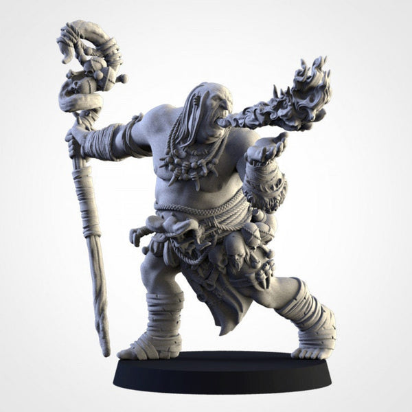 Northern Ogres - Shaman  by Txarli Factory