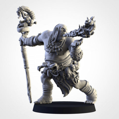 Northern Ogres - Shaman  by Txarli Factory