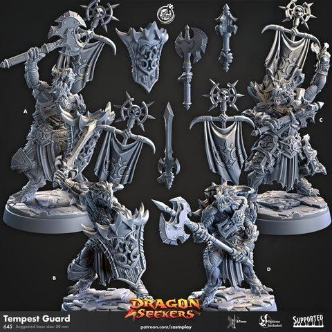 Tempest Guard by Cast N Play (Dragon Seekers)