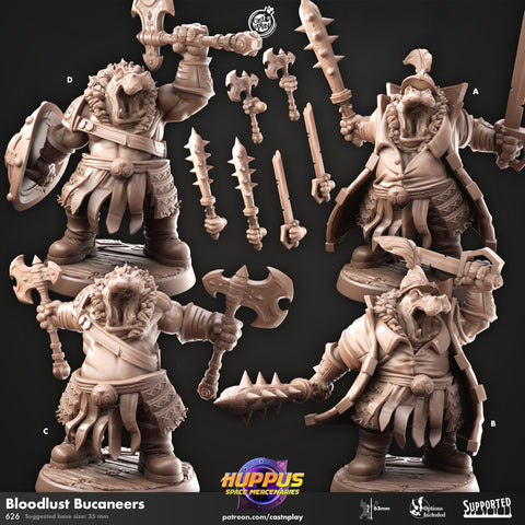 Bloodlust Bucaneers by Cast N Play (Space huppus)
