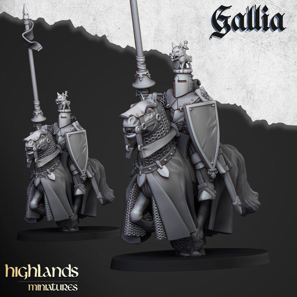 Gallia Knights  unit  by Highlands Miniatures