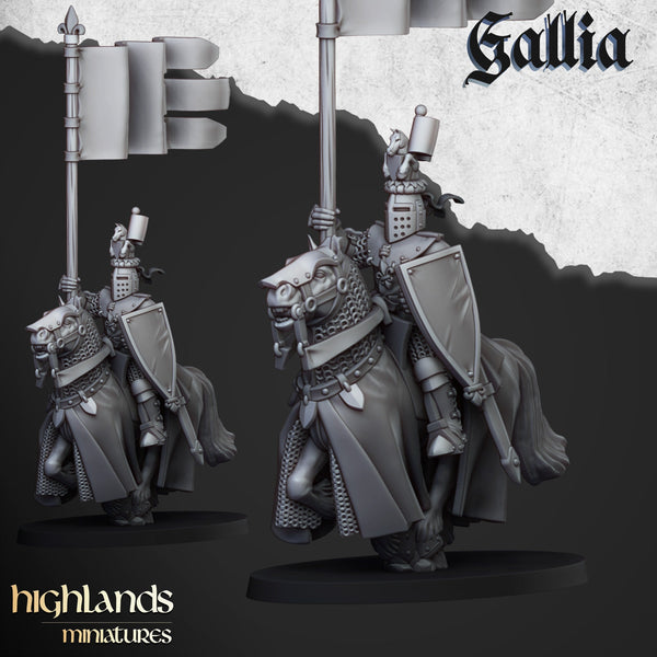 Gallia Knights  unit  by Highlands Miniatures