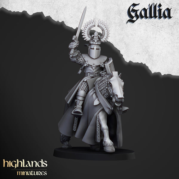 Gallia Knights  unit  by Highlands Miniatures