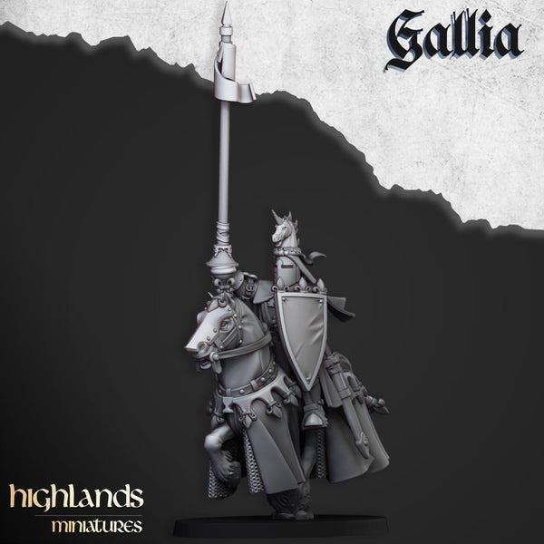 Royal Knights of Gallia  unit  by Highlands Miniatures