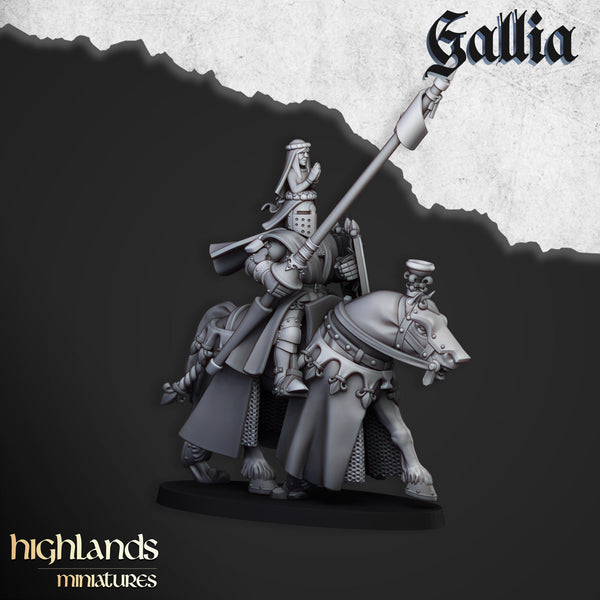 Royal Knights of Gallia  unit  by Highlands Miniatures