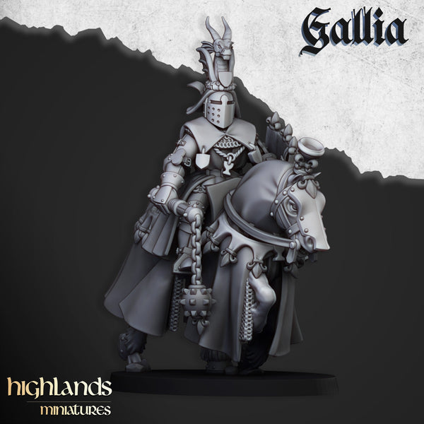 Royal Knights of Gallia  unit  by Highlands Miniatures