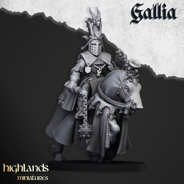 Royal Knights of Gallia  unit  by Highlands Miniatures
