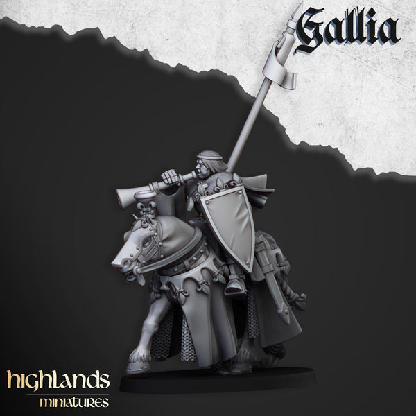 Royal Knights of Gallia  unit  by Highlands Miniatures