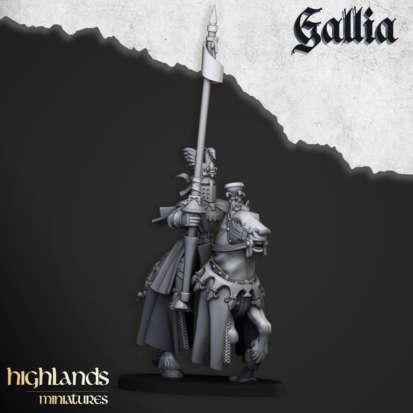 Royal Knights of Gallia  unit  by Highlands Miniatures