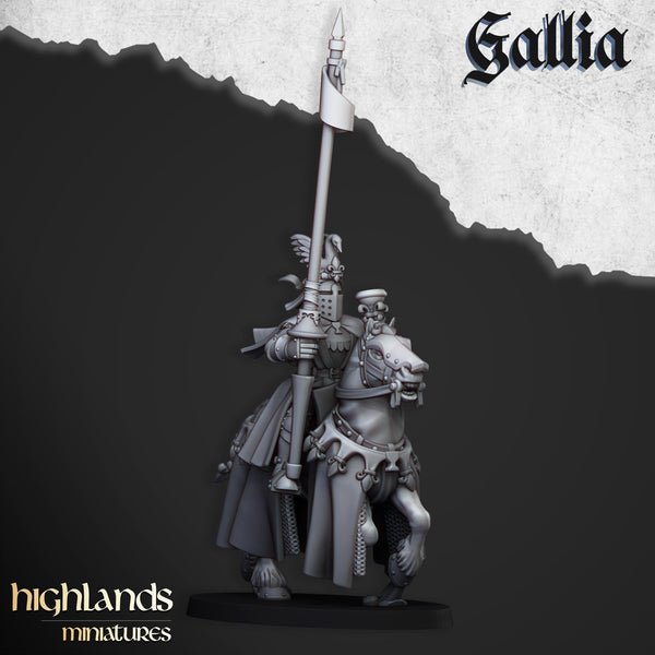 Royal Knights of Gallia  unit  by Highlands Miniatures