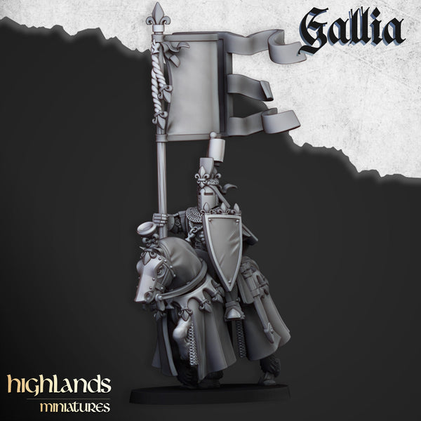 Royal Knights of Gallia  unit  by Highlands Miniatures