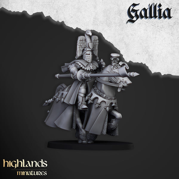 Royal Knights of Gallia  unit  by Highlands Miniatures