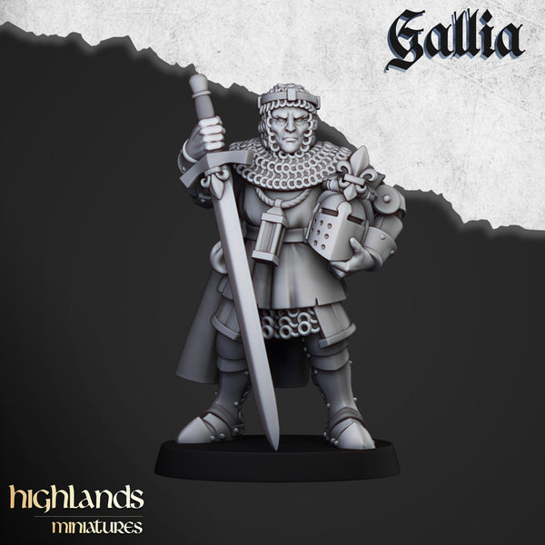 Knights of Gallia on foot by Highlands Miniatures