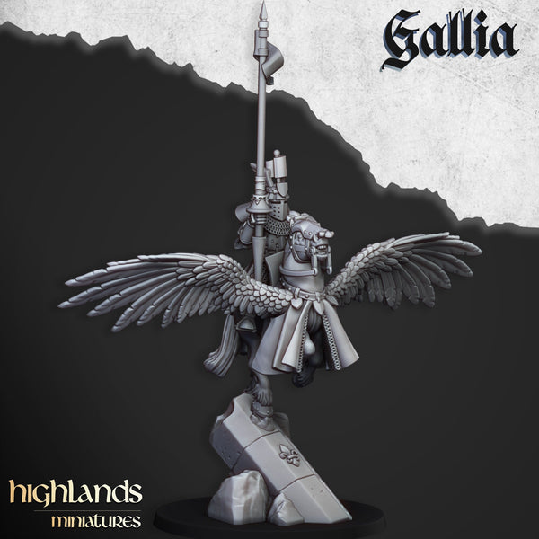 Gallia Knights on Pegasus by Highlands Miniatures