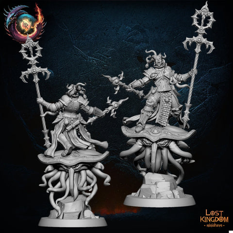 Warriors of the Dark Gods(Transfiguration Forces) -  Supreme Sorceress on TentaDisk  by Lost Kingdom Miniatures