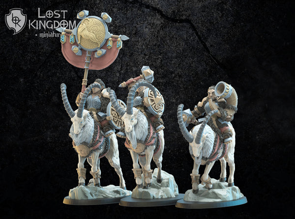 Dwarves of Niavellir -Heiorun Regiment By  Lost Kingdom Miniatures