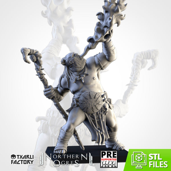 Northern Ogres - Shaman  by Txarli Factory