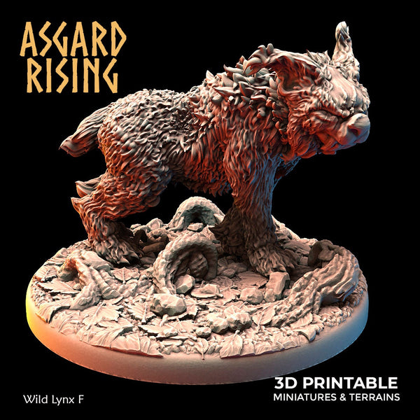 Wild Lynxes by Asgard Rising