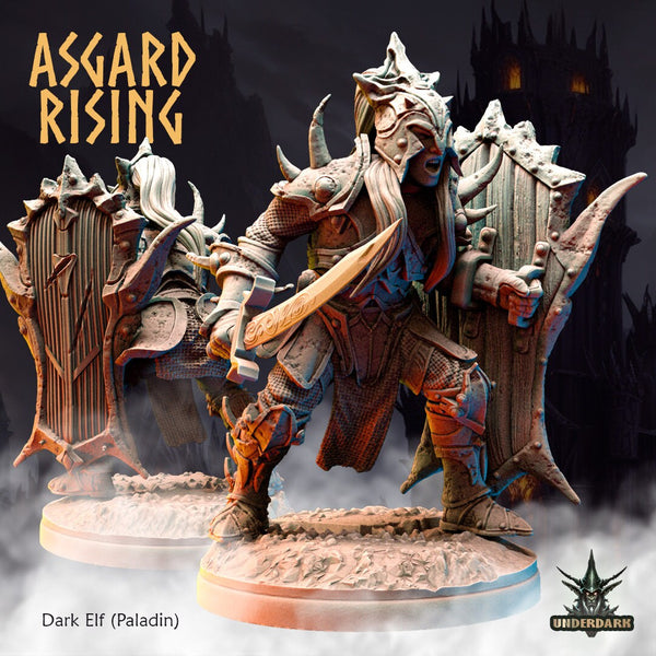 Dark Elves by Asgard Rising