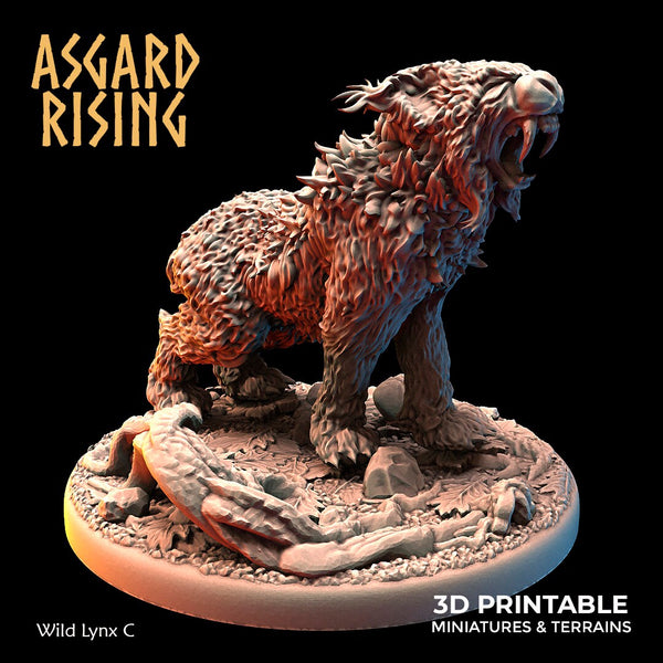 Wild Lynxes by Asgard Rising