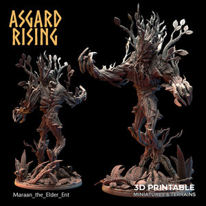 Maraan the Elder Ent by Asgard Rising