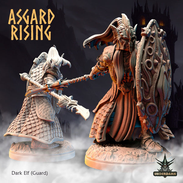 Dark Elves by Asgard Rising