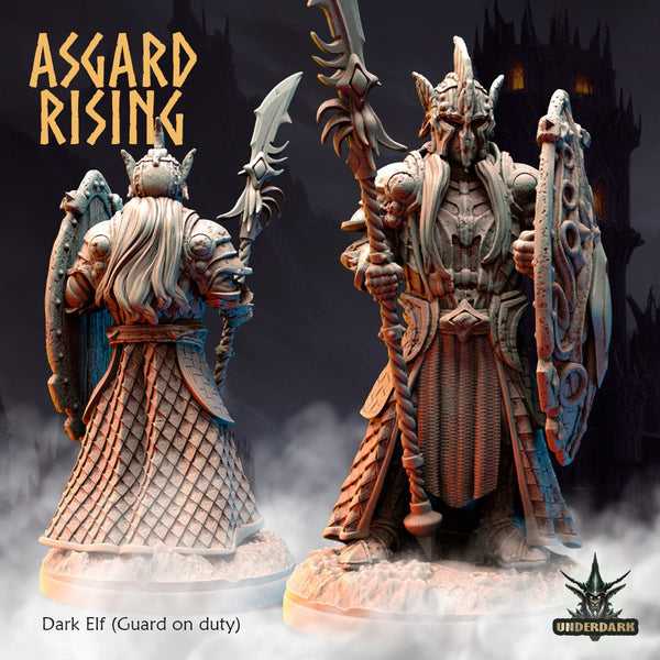 Dark Elves by Asgard Rising