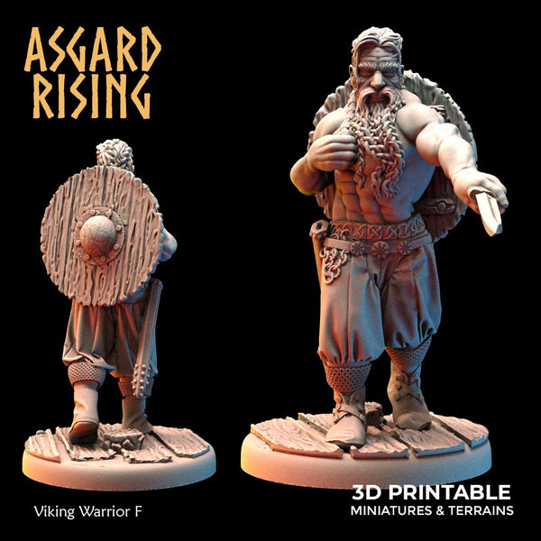 Viking Warriors  by Asgard Rising