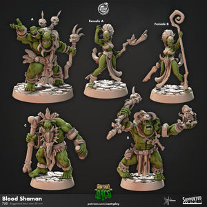 Blood Shaman by Cast N Play (Iron Skull Orcs)