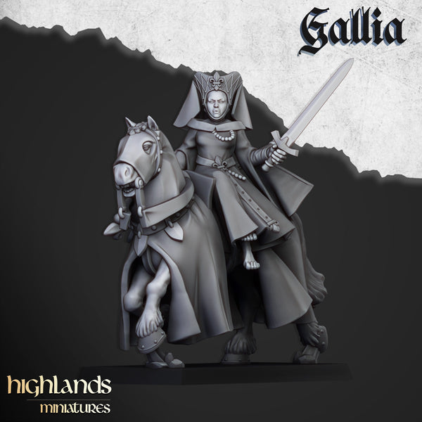The Damsel of Gallia by Highlands Miniatures