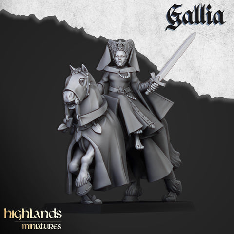 The Damsel of Gallia by Highlands Miniatures