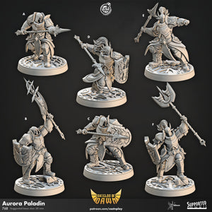 Aurora Paladins by Cast N Play (Shields of Dawn)