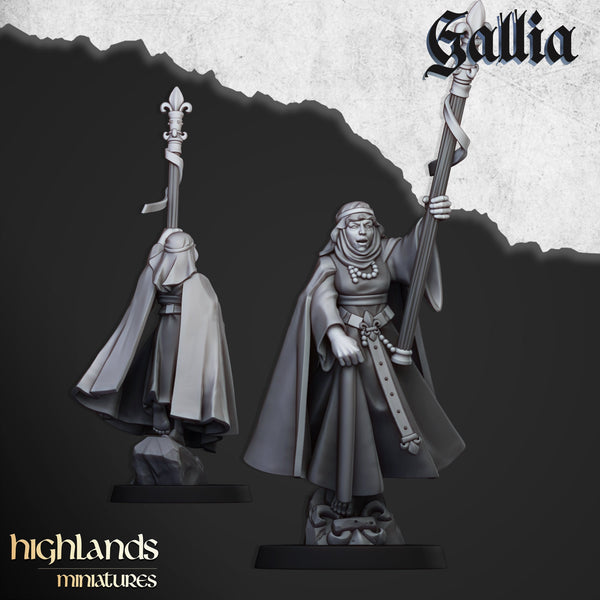 The Damsel of Gallia by Highlands Miniatures