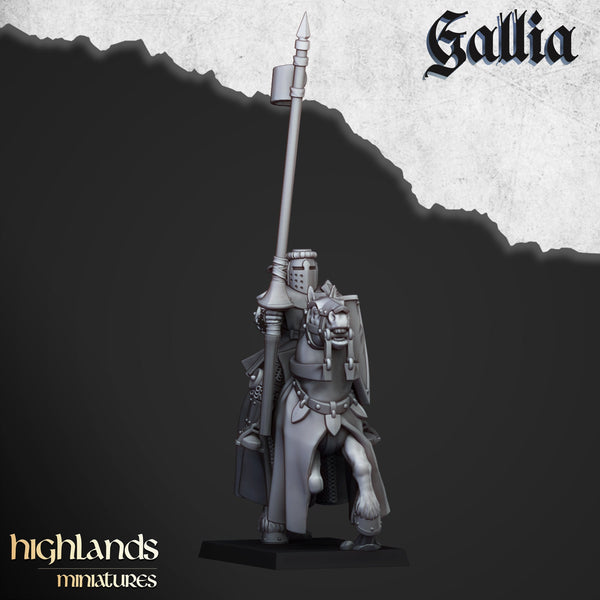 Young Knights of Gallia unit  by Highlands Miniatures