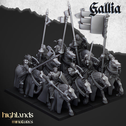 Young Knights of Gallia unit  by Highlands Miniatures