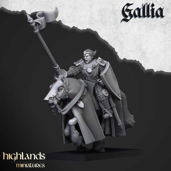 Young Knights of Gallia unit  by Highlands Miniatures