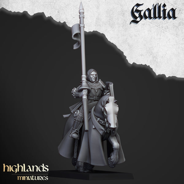 Young Knights of Gallia unit  by Highlands Miniatures