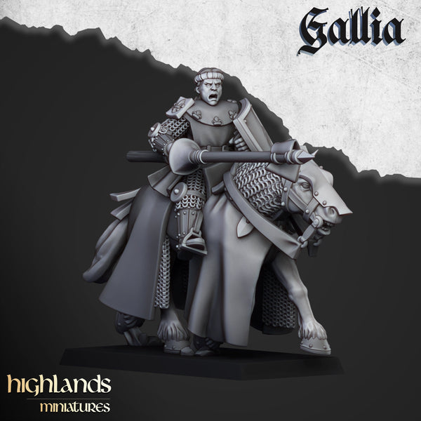 Young Knights of Gallia unit  by Highlands Miniatures