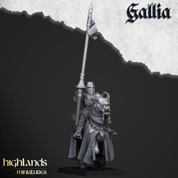 Young Knights of Gallia unit  by Highlands Miniatures